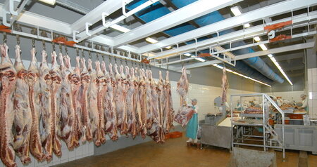 Дезинсекция на мясокомбинате в Ногинске, цены на услуги