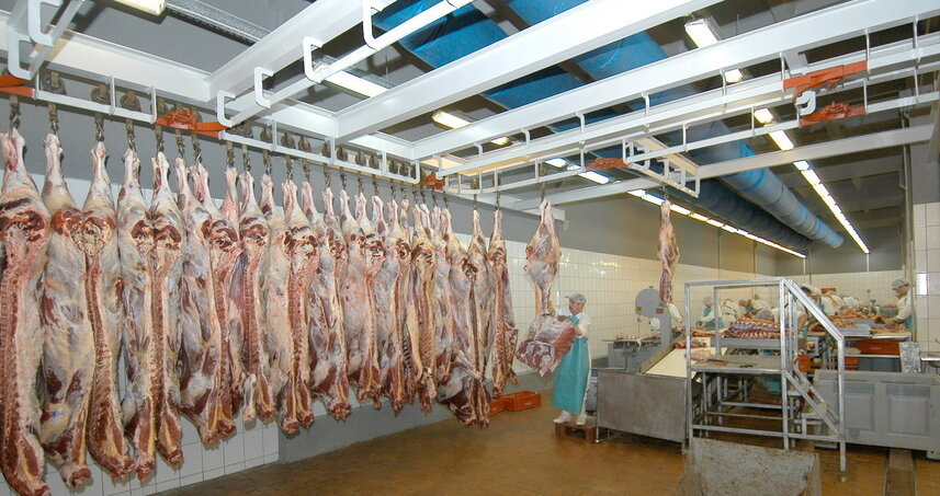 Дезинсекция на мясокомбинате в Ногинске, цены на услуги